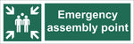 Emergency Assembly Point Family, Self Adhesive Vinyl, 1mm PVC, 5mm Correx Board
